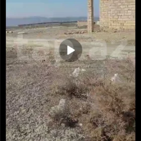 Baku-da nan sot torpaq satılır - Şəkil 2