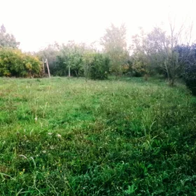 In Khachmaz 295.0 m² house with 8.0 rooms is for sale - Изображение 4