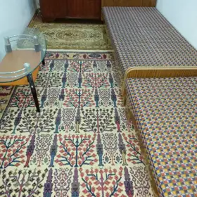 Baku-da 2.0 otaqlı 50.0 m2 bağ kirayə verilir - Şəkil 2