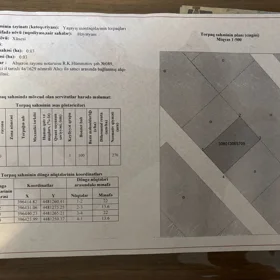 Baku-da nan sot torpaq satılır - Şəkil 4
