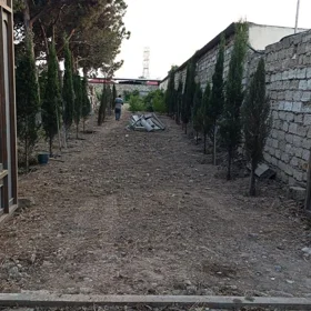 Baku-da nan sot torpaq icarə verilir - Şəkil 2