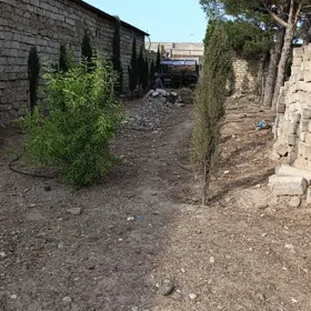 Baku-da nan sot torpaq icarə verilir - Şəkil 3