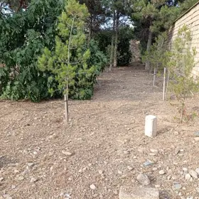 Baku-da nan sot torpaq icarə verilir - Şəkil 5
