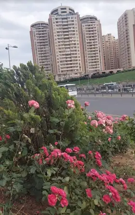In Baku 155.0 m² apartment is for sale - Image 4