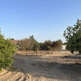In Baku nan acre land is for sale - Изображение 4