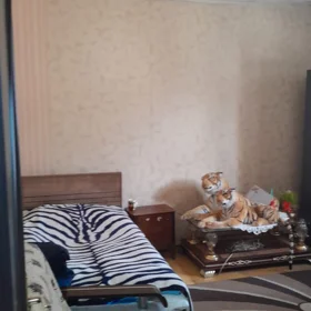 Sumgayit-da 2.0 otaqlı 45.0 m2 bağ kirayə verilir - Şəkil 4