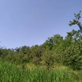 In Şamaxı rayonu nan acre land is for sale - Изображение 2