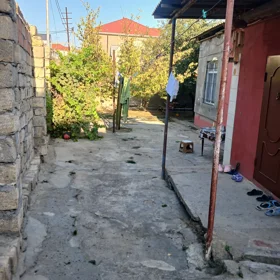 Baku-da nan sot torpaq satılır - Şəkil 3