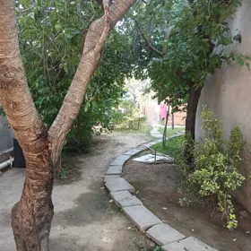 Baku-da nan sot torpaq satılır - Şəkil 4