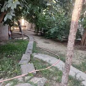 Baku-da nan sot torpaq satılır - Şəkil 5