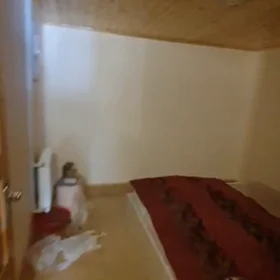 In Baku 60.0 m² house with 2.0 rooms is for rent - Image 4