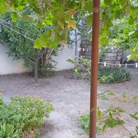 Baku-da 1.0 otaqlı 32.0 m2 bağ satılır - Şəkil 2