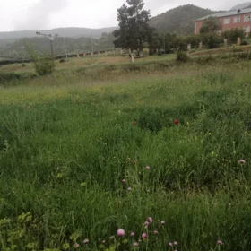 İsmayıllı-da nan sot torpaq satılır - Şəkil 4