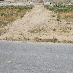 Baku-da nan sot torpaq satılır - Şəkil 3