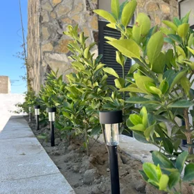 nan-da 4.0 otaqlı 120.0 m2 bağ satılır - Şəkil 2