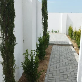 nan-da 4.0 otaqlı 120.0 m2 bağ satılır - Şəkil 5
