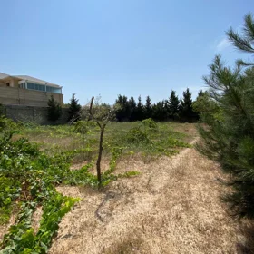 Baku-da nan sot torpaq satılır - Şəkil 4