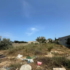 nan-da nan sot torpaq satılır - Şəkil 2