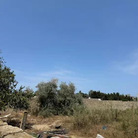 nan-da nan sot torpaq satılır - Şəkil 4