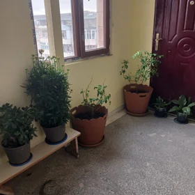 Khirdalan-da 60.0 m2 mənzil kirayə verilir - Şəkil 5