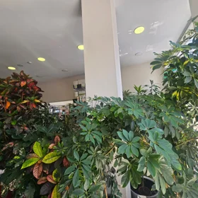 Baku-da 110.0 m2 obyekt kirayə verilir - Şəkil 2