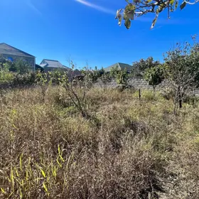 In Bərdə rayonu nan acre land is for sale - Image 3