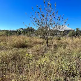 In Bərdə rayonu nan acre land is for sale - Image 4