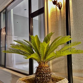 In Baku 6.0 m² house with 4.0 rooms is for sale - Image 2