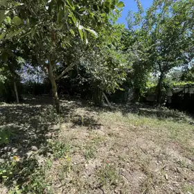 In Şamaxı rayonu 90.0 m² house with 4.0 rooms is for sale - Image 3