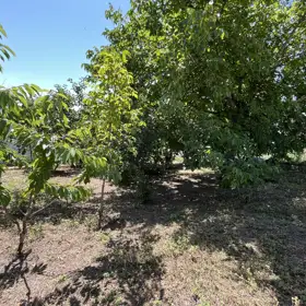 In Şamaxı rayonu 90.0 m² house with 4.0 rooms is for sale - Image 4