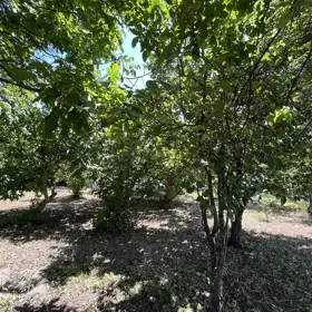 In Şamaxı rayonu 90.0 m² house with 4.0 rooms is for sale - Image 5