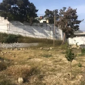 Baku-da nan sot torpaq satılır - Şəkil 2