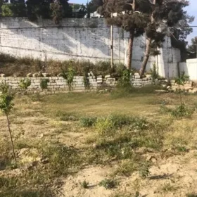 Baku-da nan sot torpaq satılır - Şəkil 5