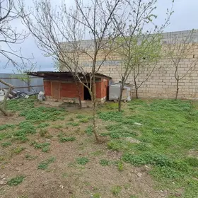 In Masalli 170.0 m² house with 6.0 rooms is for sale - Изображение 3
