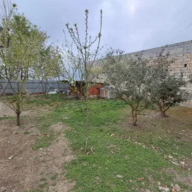 In Masalli 170.0 m² house with 6.0 rooms is for sale - Изображение 4