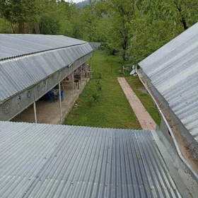 gmina Kozłowo-da 7.0 otaqlı 180.0 m2 bağ satılır - Şəkil 2