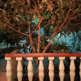 In Baku 110.0 m² house with 3.0 rooms is for sale - Изображение 2