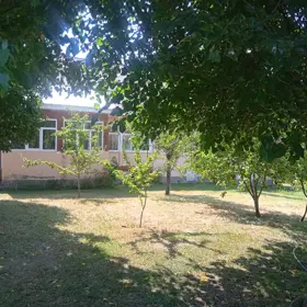 In Qəbələ 1000.0 m² house with 5.0 rooms is for sale - Image 3