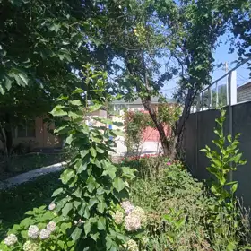 In Qəbələ 1000.0 m² house with 5.0 rooms is for sale - Image 5