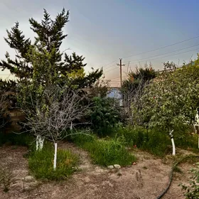 In Baku 260.0 m² house with 3.0 rooms is for sale - Изображение 5