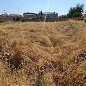 In Baku nan acre land is for sale - Image 2