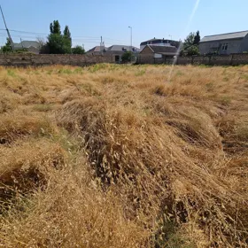 In Baku nan acre land is for sale - Image 4