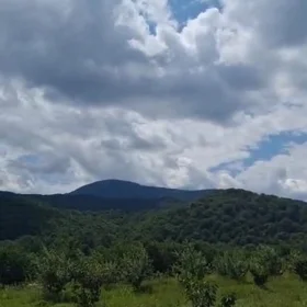 In Quba rayonu nan acre land is for sale