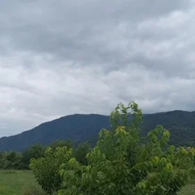 In Quba rayonu nan acre land is for sale - Изображение 2