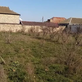 In Baku nan acre land is for sale - Image 2