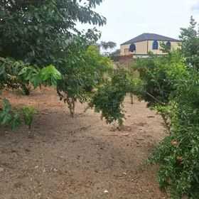 Sumgayit-da 2.0 otaqlı 100.0 m2 bağ satılır