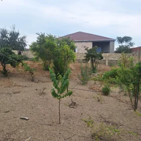 Sumgayit-da 2.0 otaqlı 100.0 m2 bağ satılır - Şəkil 2