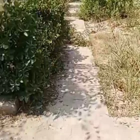 In Baku nan acre land is for sale