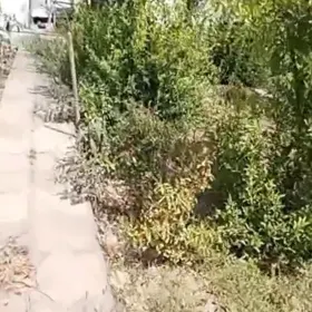 In Baku nan acre land is for sale - Image 3