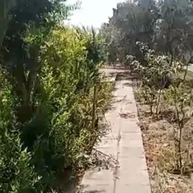 In Baku nan acre land is for sale - Image 4